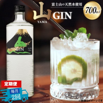 【毎月定期便】山ジン　700ml×1本全2回