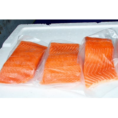 山梨県高級ブランド魚「富士の介」お刺身・切り身用約1.5kg