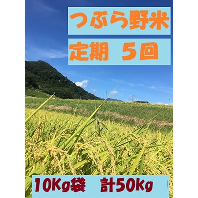 【毎月定期便】つぶら野米(品種:コシヒカリ)白米10kg 定期5カ月(合計50kg)全5回