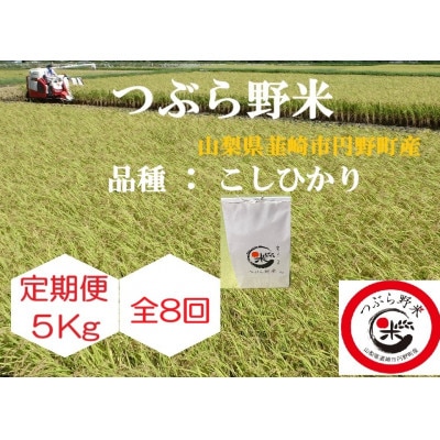 【毎月定期便】つぶら野米(品種:コシヒカリ) 白米5kg 定期8ヶ月(計40kg)全8回