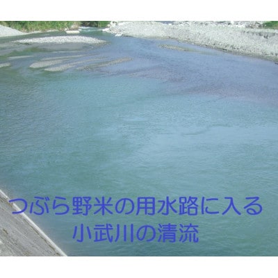 【毎月定期便】つぶら野米(品種:コシヒカリ) 白米5kg 定期6ヶ月(計30kg)全6回