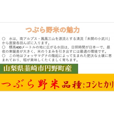 【毎月定期便】つぶら野米(品種:コシヒカリ) 白米6kg 定期6ヶ月(計36kg)全6回
