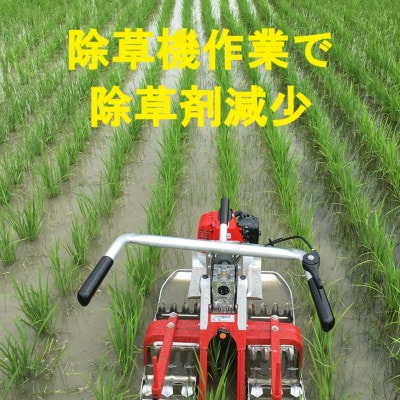 【毎月定期便】つぶら野米(品種:コシヒカリ) 白米6kg 定期6ヶ月(計36kg)全6回
