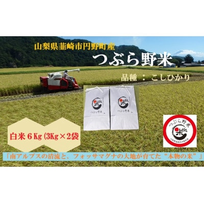 【毎月定期便】つぶら野米(品種:コシヒカリ)　白米6kg(3kg×2袋)　5ヶ月合計30kg　全5回