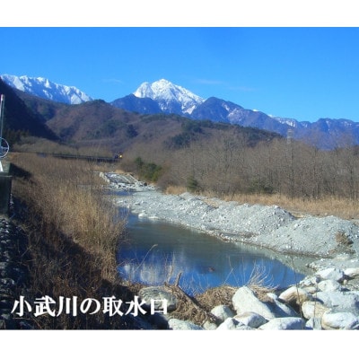 【毎月定期便】つぶら野米(品種:コシヒカリ)　白米6kg(3kg×2袋)　5ヶ月合計30kg　全5回