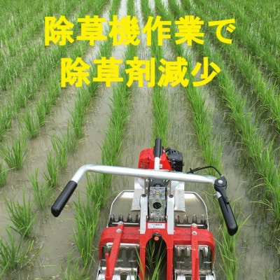 【毎月定期便】つぶら野米(品種:コシヒカリ)　白米6kg(3kg×2袋)　5ヶ月合計30kg　全5回
