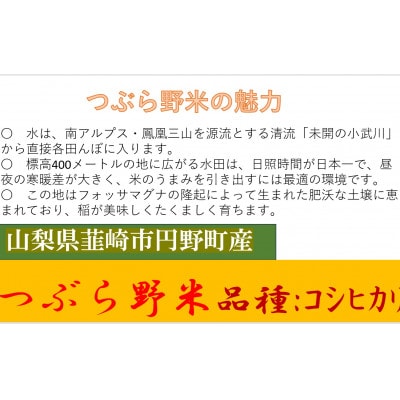 【毎月定期便】つぶら野米(品種:コシヒカリ)　白米6kg(3kg×2袋)　3ヶ月合計18kg　全3回