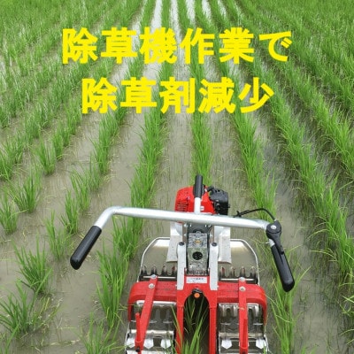 【毎月定期便】つぶら野米(品種:コシヒカリ)　白米6kg(3kg×2袋)　3ヶ月合計18kg　全3回