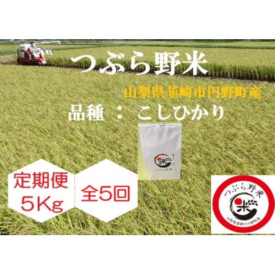 【毎月定期便】つぶら野米(品種:コシヒカリ)　白米5kg　5ヶ月合計25kg　全5回