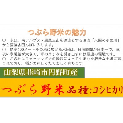 【毎月定期便】つぶら野米(品種:コシヒカリ)　白米5kg　5ヶ月合計25kg　全5回