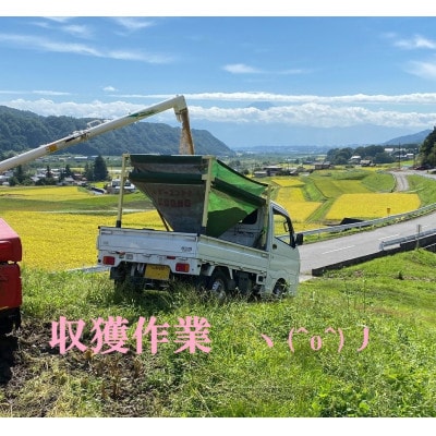 【毎月定期便】つぶら野米(品種:コシヒカリ)　白米5kg　5ヶ月合計25kg　全5回