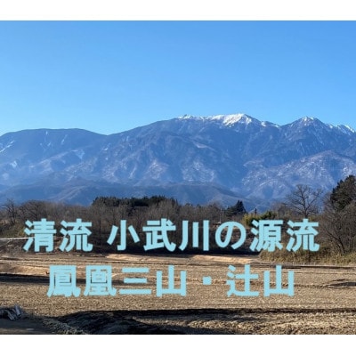 【毎月定期便】つぶら野米(品種:コシヒカリ)　白米5kg　3ヶ月合計15kg　全3回