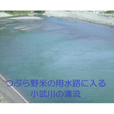 【毎月定期便】つぶら野米(品種:コシヒカリ)　白米5kg　3ヶ月合計15kg　全3回