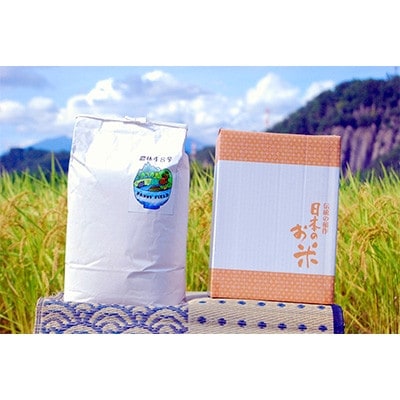 武川米農林48号(山梨県韮崎市円野町産)10kg　<精米>