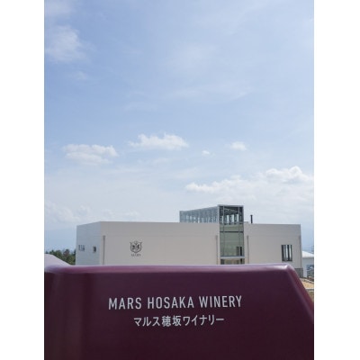 マルスお試しワイン4本セット(白2本 赤2本)【山梨県韮崎市】