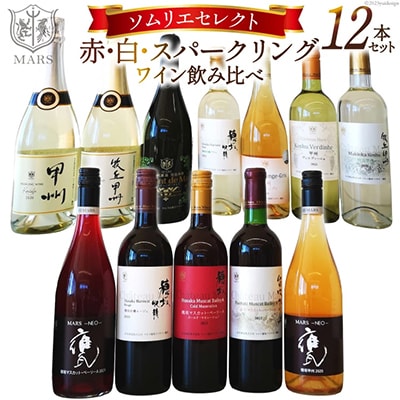 マルスおすすめワイン12本セット(スパークリング3本・白5本・赤4本)