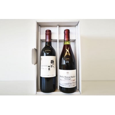 ワイン 赤 マルスワイン2本セット ～秋の陣～　本坊酒造 マルス穂坂ワイナリーからお届け