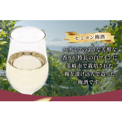 梅酒 やや甘口 セミヨン梅酒 500ml 1本　本坊酒造 マルス穂坂ワイナリーからお届け