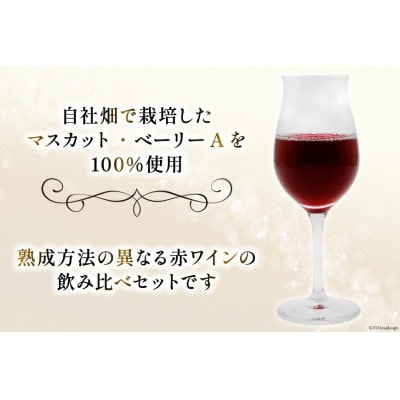《数量限定》赤ワイン2本セット ステンレスタンク & 樽熟成 750ml×計2本