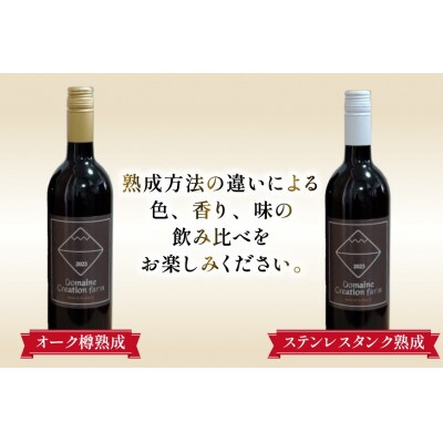 《数量限定》赤ワイン2本セット ステンレスタンク & 樽熟成 750ml×計2本