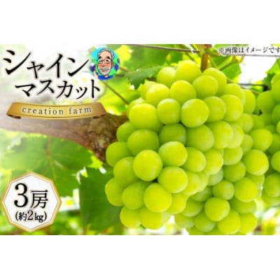 山梨県産 高級シャインマスカット 3房(約2kg)