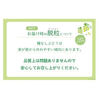 山梨県産 高級シャインマスカット 3房(約2kg)