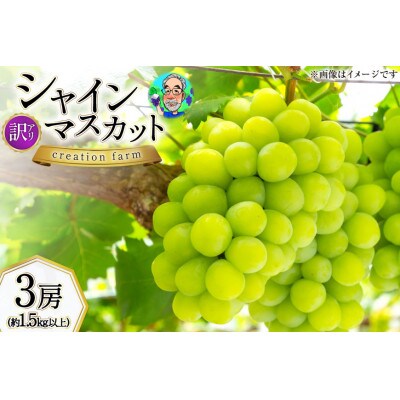 【訳あり】山梨県産 朝採れシャインマスカット 3房(約1.5kg以上)