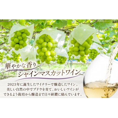 【数量限定】シャインマスカット醸しワイン 750ml×2本