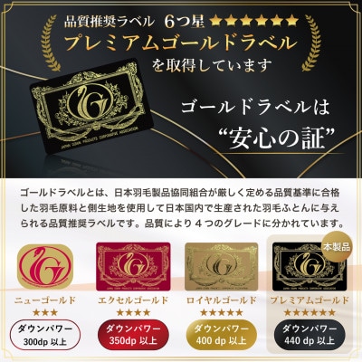 冬用 羽毛布団 シングル 本掛け ポーランド産マザーグースダウン95% 80番手 ブルー 綿100%