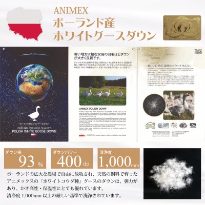 ポーランド産ホワイトグース93% 羽毛掛け布団シングル1.3kg 80番手サテン青系 柄おまかせ