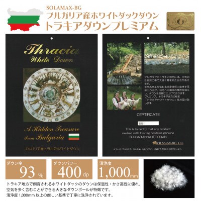 抗ウイルス加工側生地 羽毛布団シングル1.3kg 無地グレー ホワイトダックダウン93%