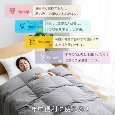 洗える 羽毛肌掛け布団 セミダブル 春夏用 グレー ホワイトグース93% ダウンケット羽毛布団