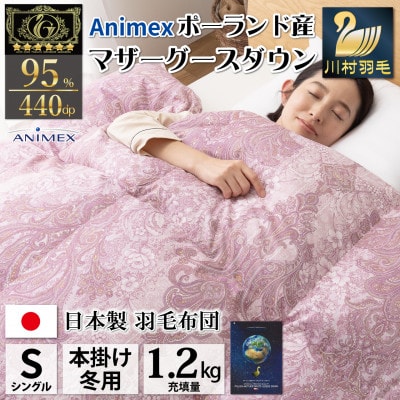 冬用 羽毛布団シングル ポーランド産マザーグースダウン95% 1.2kg 80番手超長綿 エリーヌ赤