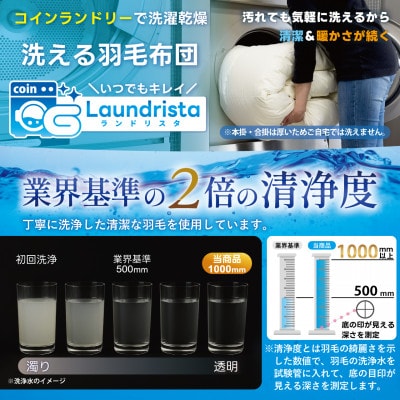 洗える 肌掛け羽毛布団 シングル 春夏用 ブルー ホワイトダック93% 抗菌防臭 ダウンケット