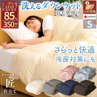 洗える 羽毛肌掛け布団 シングル 春夏用 アイボリー ダック85% 抗菌防臭 ダウンケット 羽毛布団