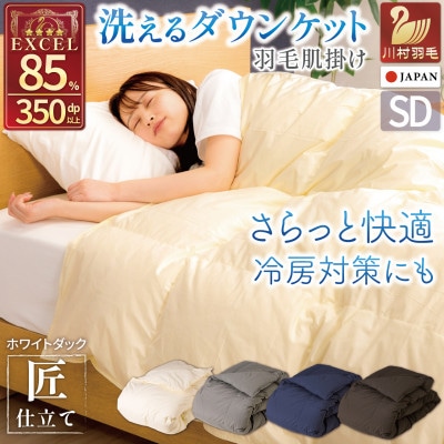洗える 羽毛肌掛け布団 セミダブル 春夏用 ホワイトダック85% ダウンケット羽毛布団 抗菌防臭