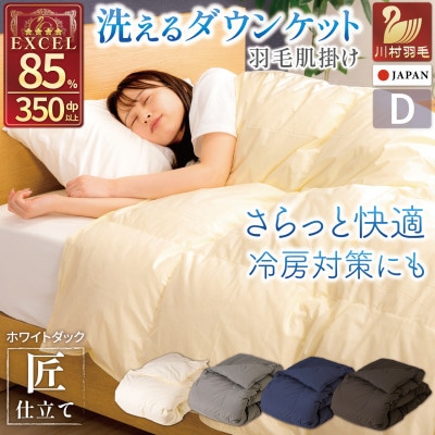 洗える 羽毛肌掛け布団 ダブル 春夏用 抗菌防臭 ホワイトダック85% ダウンケット羽毛布団