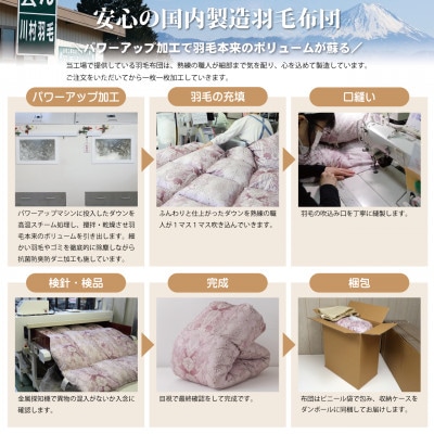 数量限定 訳アリ 羽毛布団シングル 色柄おまかせ ホワイトダックダウン85% 1.2kg 日本製