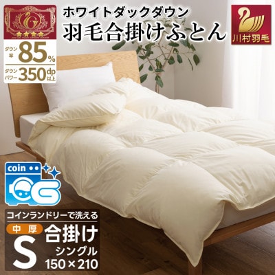 洗える羽毛布団 合掛け シングル 春秋用 中厚 ホワイトダックダウン85% アイボリー 無地