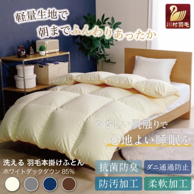 洗える羽毛布団 シングル 冬用 ホワイトダックダウン85% 無地アイボリー 本掛け1.2kg抗菌防臭