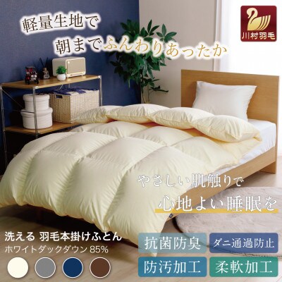 洗える羽毛布団 ダブル 冬用 ホワイトダックダウン85% アイボリー 無地本掛け 1.6kg抗菌防臭