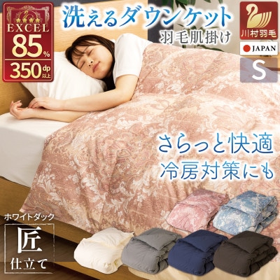 洗える 羽毛肌掛け布団 シングル 春夏用 ホワイトダック85% 抗菌防臭 ダウンケット 羽毛布団 赤