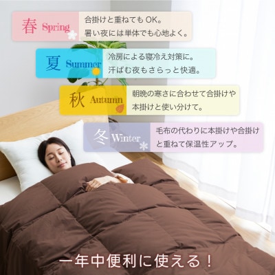 洗える 肌掛け 羽毛布団 シングル 春夏用 ホワイトダック93% ブラウン ダウンケット 日本製