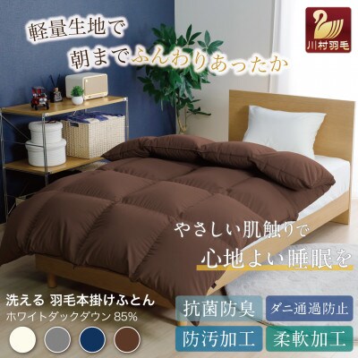 洗える羽毛布団 ダブル 冬用 ホワイトダックダウン85% ブラウン 無地 抗菌防臭 本掛け 日本製