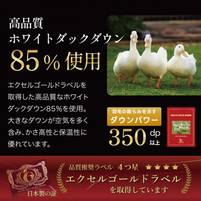 洗える 羽毛布団 セミダブル 本掛け 冬用 増量 1.4kg ホワイトダウン 85% 無地 ネイビー