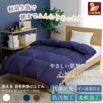 洗える羽毛布団 セミダブル 冬用 ホワイトダックダウン85% ネイビー 無地 本掛け 日本製抗菌防臭