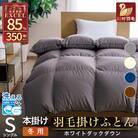 洗える羽毛布団 シングル 冬用 ホワイトダックダウン85% グレー 無地 抗菌防臭 本掛け 日本製