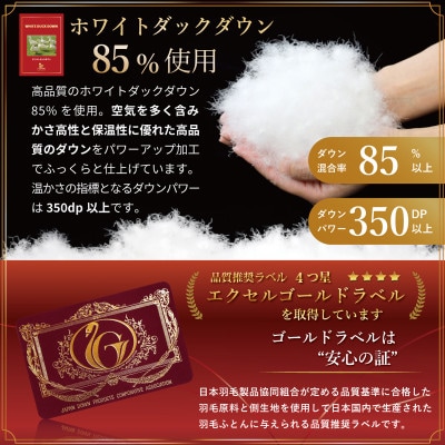 洗える 羽毛布団 肌掛け シングル 春夏用 ダック85% ネイビー 抗菌防臭 ダウンケット 日本製