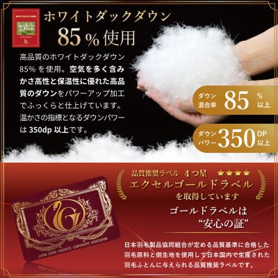 洗える 羽毛布団 肌掛け ダブル 春夏用 ダック85% ブラウン 抗菌防臭 ダウンケット日本製 無地
