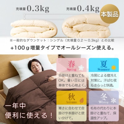 洗える 羽毛布団 肌掛け ダブル 春夏用 ダック85% ブラウン 抗菌防臭 ダウンケット日本製 無地